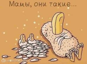 мамы