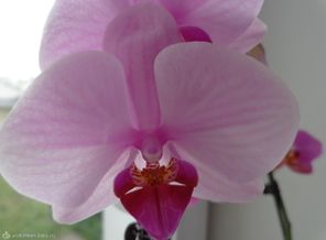 DSC00021