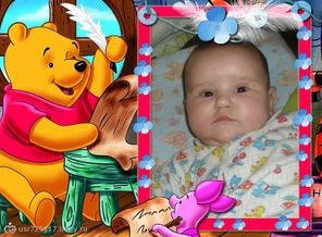 4155540_webka