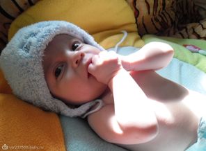 SAM_0456