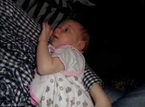 SAM_0146