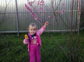 Мое весенние солнышка