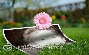 Самое сладкое в мире дыхание-  Дочка сопит, утыкаясь в подушку.  Самое нежное в мире создание,  Крепко во сне обнимает игрушку.   Облако прядей-  Мой ангел зефирный...  Белое кружево-  Зайка любимый...   Самое лучшее в мире мгновение-  Спящая дочка...Мое 