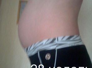 28 недель