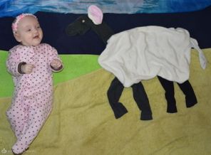 НА ЛУГУ ПАСУТСЯ КООО.....