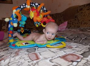 DSCN6226