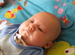 IMG_0362