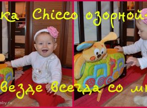 озорной зайка chicco