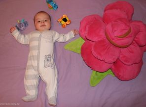 IMG_0826