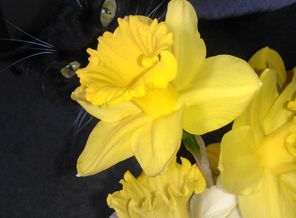 IMG_20130430_154331
