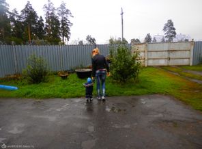 P9154512