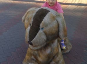 IMAG0374