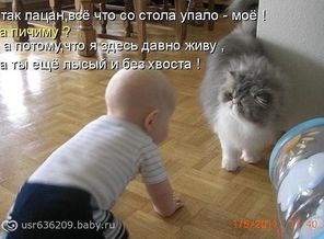 getImage (48)