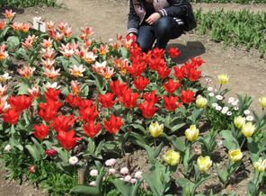 IMG_9272
