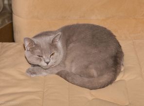 2012 Новый Год-1