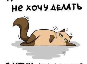 6rwjT9ukYKA