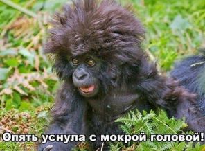 Утро не всегда бывает добрым =)))