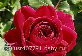 images (25)