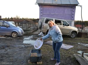 _DSC0017