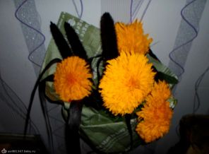SAM_1447