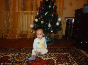 под ёлочкой