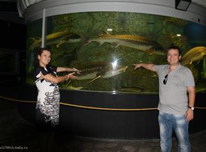 IMG_3175