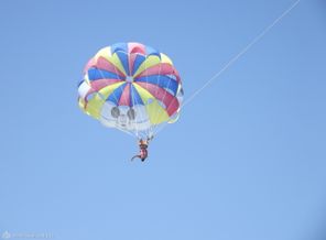 DSCF4518