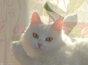 DSCN0184