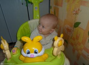SAM_0533