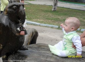 SAM_0854