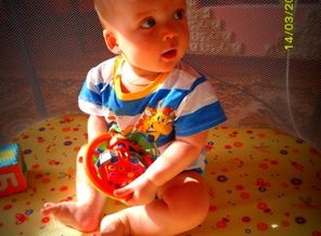 SAM_31431