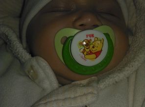IMG_20130427_101913