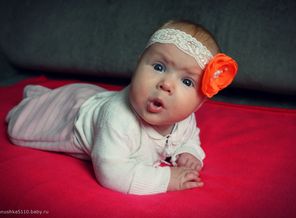 IMG_1541