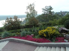 DSC05653