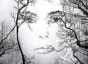 getImage (10)