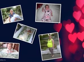 collage_photocat