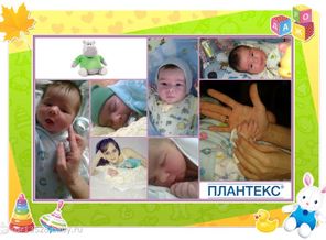 вот такие мы малыши-карандаши весом 5 кг и возрастом 3 недельки