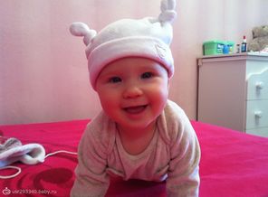Я люблю gerber)))