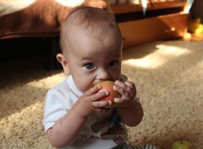 IMG_6546