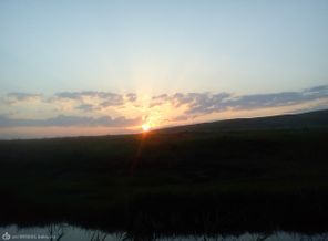 DSC00367