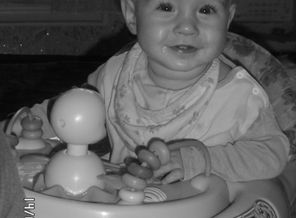 SAM_0941  xcv