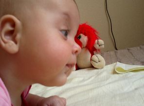 10082013379
