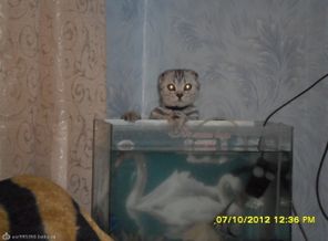 SAM_2645