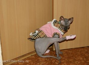 балерина
