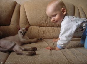 лето2010 036