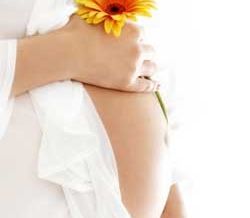 69987141_pregnant_with_flower