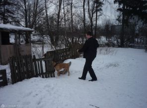 Кокос