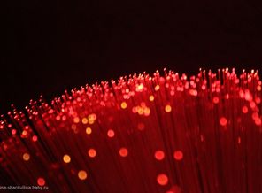 IMG_4057