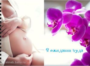 Обложечка