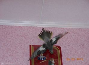 наташа77 001